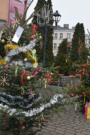 Choinki pod Choinkę 2025: tak wygląda Plac Kościuszki-16521