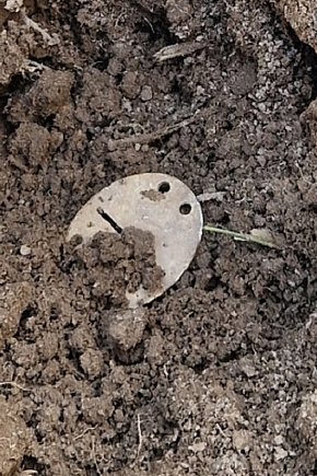 Poruszające znalezisko SGOH-16551