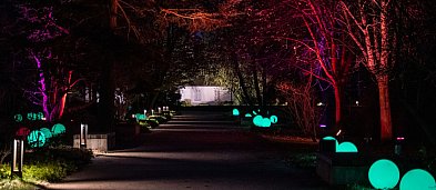 Iluminacja w parku w Żelazowej Woli-5456