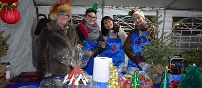 Jarmark Franciszkański w Teresinie-5488