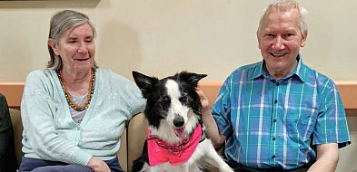 O tym, jak psy wspierają zdrowie i dobrostan seniorów-89406