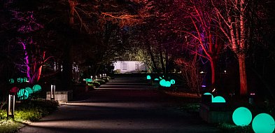 Jest klimat do wieczornych spacerów, Żelazowa Wola z nową iluminacją-89484