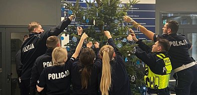 Odblaskowa choinka w Sochaczewie już jest, można się częstować-89727