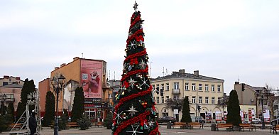 Choinka na placu Kościuszki po mocnym liftingu, jak wam się podoba?-89943