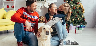 Czas bliskości i troski – w święta pamiętajmy również o bezpiecznym żywieniu zwier-90033