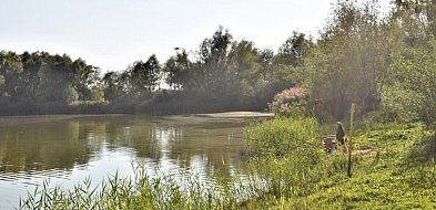 Zalew w Boryszewie czasowo zamknięty-90184