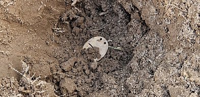 Poruszające znalezisko Sochaczewskiej Grupy Odkrywców Historii-90262