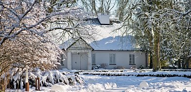 Zima w Parku w Żelazowej Woli: tu soli nie sypiemy-90754