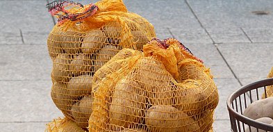 Komunikat w sprawie targowiska w Kozłowie Biskupim