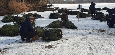 Zbudowali krześlisko nad Zalewem w Boryszewie