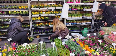 Wiosna? Ja już ją czuję, w ogródku pracuję – rozmawiamy z Sochaczewianami