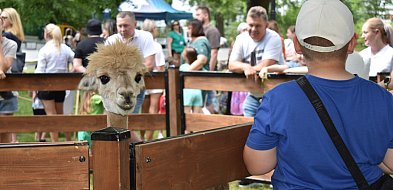 Kalendarz wiosenno-letnich imprez ratusza