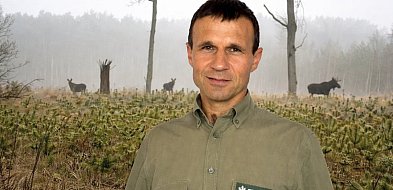 Inwentaryzacja zwierzyny w naszych lasach z jednym wnioskiem