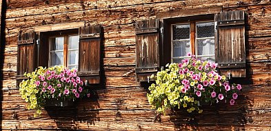 Wokół drewna. Pierwszy taki konkurs Mazowsza