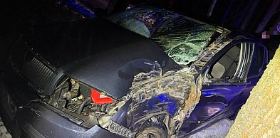 Nietrzeźwa 18-latka kontra drzewo. Prawo jazdy miała od pół roku