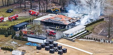 Popularna wiata na Plaży Patelnia w Grabinie w ogniu
