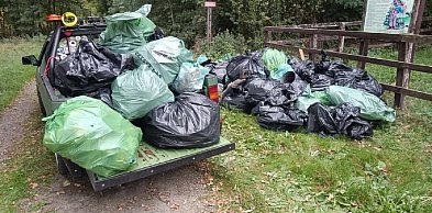 Czas na porządki w teresińskim lesie, w planie ogniskowa kiełbaska