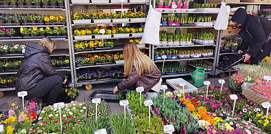 Wiosna? Ja już ją czuję, w ogródku pracuję – rozmawiamy z Sochaczewianami