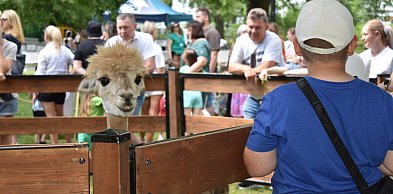 Kalendarz wiosenno-letnich imprez ratusza