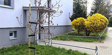 Wiosna w Socho zgodnie z planem, prognozy na święta znakomite