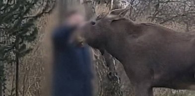 Nie prowokujcie tragedii: apel Kampinoskiego Parku Narodowego