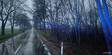 Pożary i powalone drzewa: wielkanocne interwencje naszych strażaków