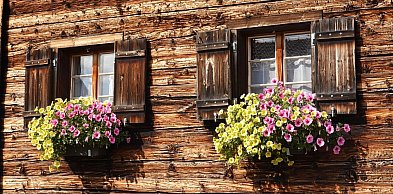 Wokół drewna. Pierwszy taki konkurs Mazowsza