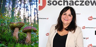 Nowość w Sanepidzie. Inspektor Fergińska: grzyby? To nasz sport narodowy