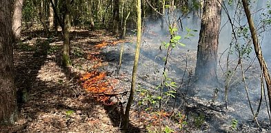 Podejrzana seria pożarów w bliskiej odległości w Sochaczewie