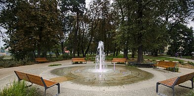 Do Sochaczewa wrócili sokolnicy, ławki i stojaki będą czyste