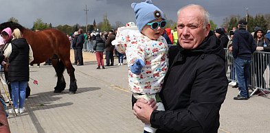 III Jarmark Rolniczy w Kozłowie Biskupim 2026 [FOTO], ogiery zrobiły furorę
