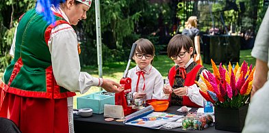 III Festiwal Kultury Regionalnej w Żelazowej Woli, zapraszamy-86706