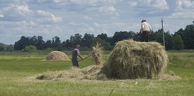 Postawią stóg siana w Granicy. Potrzeba rąk do pracy-86835