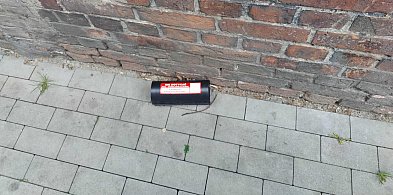 Deratyzacja na zlecenie ZWiK w Sochaczewie, podajemy harmonogram-87720
