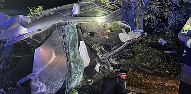 17 strażaków na ratunek zakleszczonemu kierowcy w Kościelnej Górze-88307
