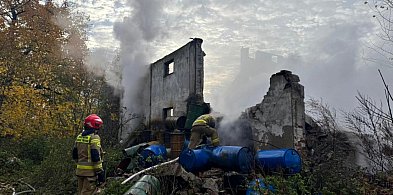 Pożar starego spichlerza w Młodzieszynie [FOTO]-88541