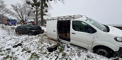 Uderzył w tył auta stojącego na poboczu, wypadek w Ludwikowie-89232