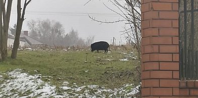 Taka sytuacja na ulicy Młynarskiej-89460