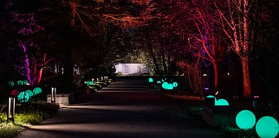 Jest klimat do wieczornych spacerów, Żelazowa Wola z nową iluminacją-89484