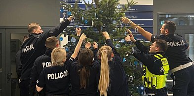 Odblaskowa choinka w Sochaczewie już jest, można się częstować-89727