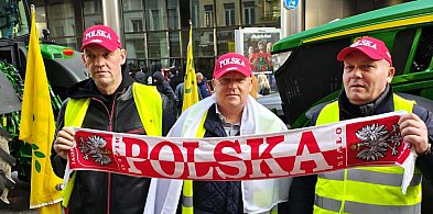 Sochaczewska delegacja na proteście rolników w Brukseli-90015