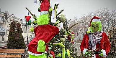 Najpiękniejsze choinki na placu Kościuszki wybrane-90289