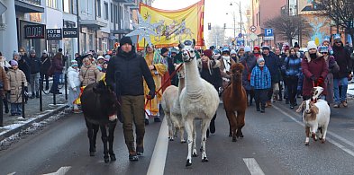 Sochaczewianie radośnie w orszaku za Trzema Królami-90469