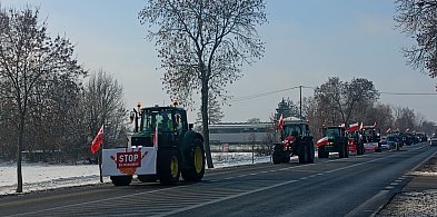 4-kilometrowa kolumna ciągników na DK 92-90547