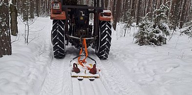 KPN zaprasza na trasę narciarstwa biegowego-90658