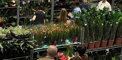 Festiwal Roślin wraca do Sochaczewa, i to w wielkim stylu-90817