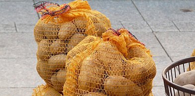 Komunikat w sprawie targowiska w Kozłowie Biskupim