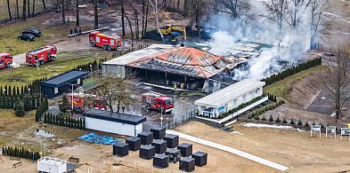 Popularna wiata na Plaży Patelnia w Grabinie w ogniu