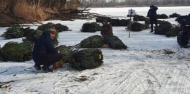 Zbudowali krześlisko nad Zalewem w Boryszewie