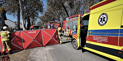 Wypadek w Żukowie. Kierowca zabrany do szpitala